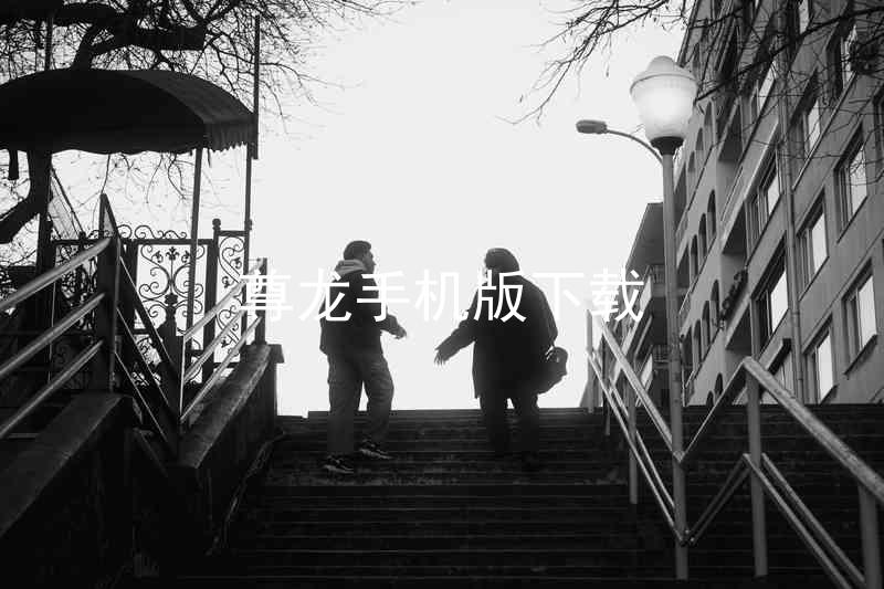 尊龙手机版下载