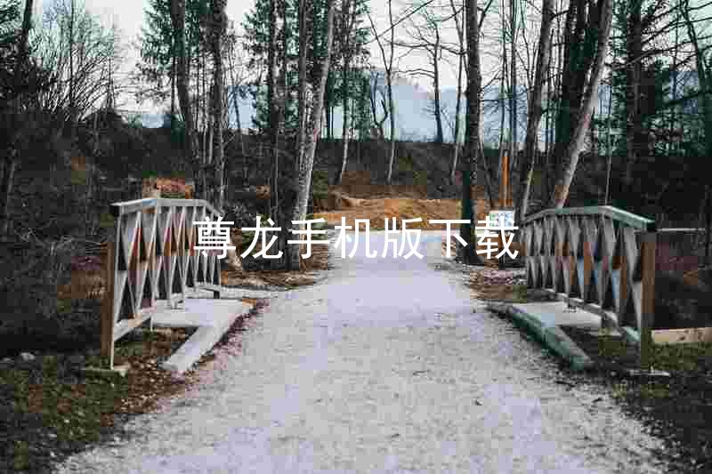 尊龙手机版下载