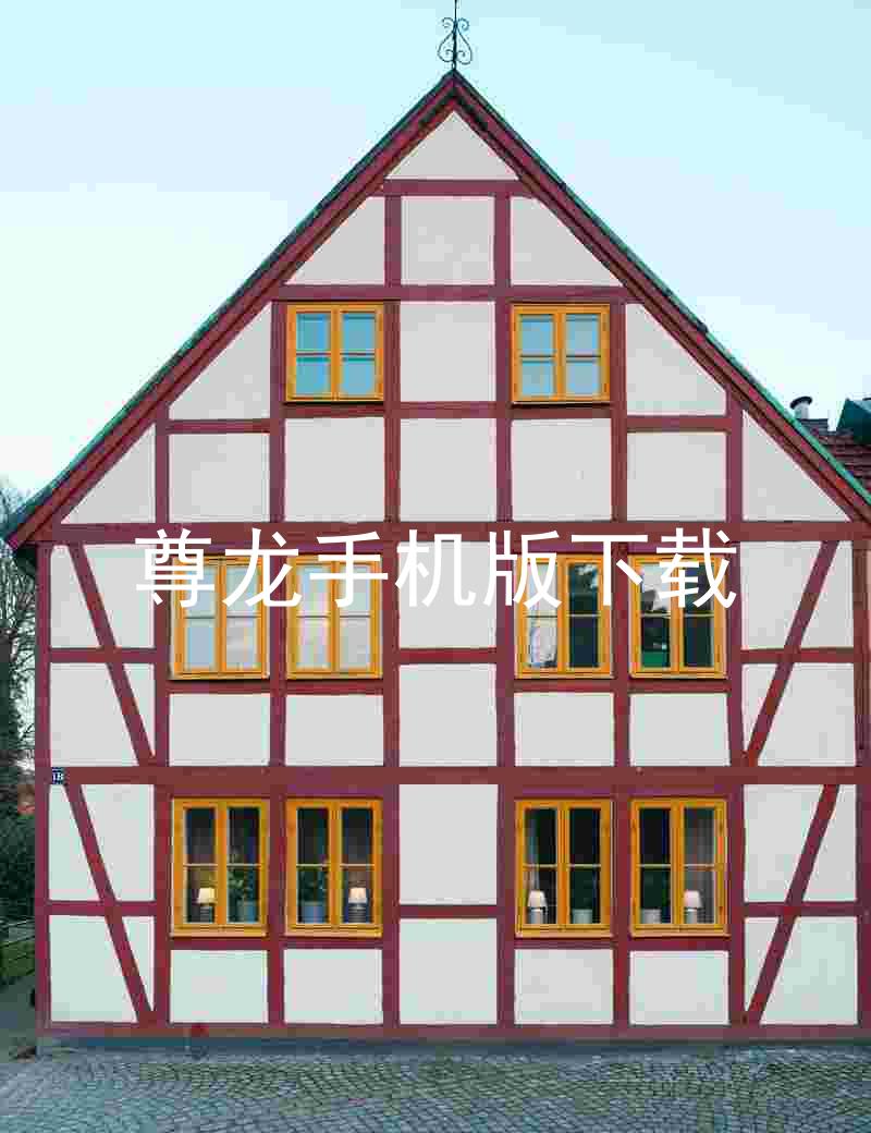 尊龙手机版下载