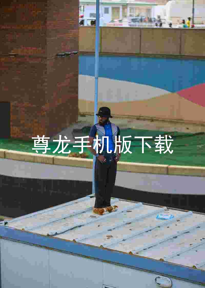 尊龙手机版下载