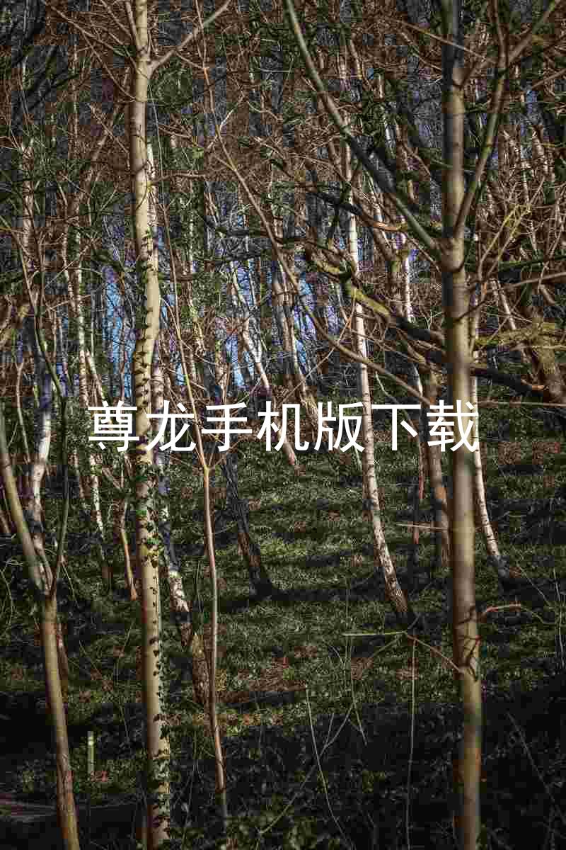 尊龙手机版下载