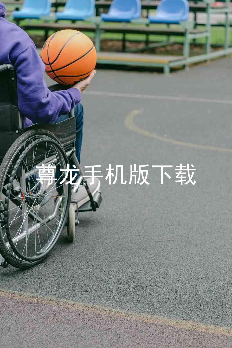 尊龙手机版下载
