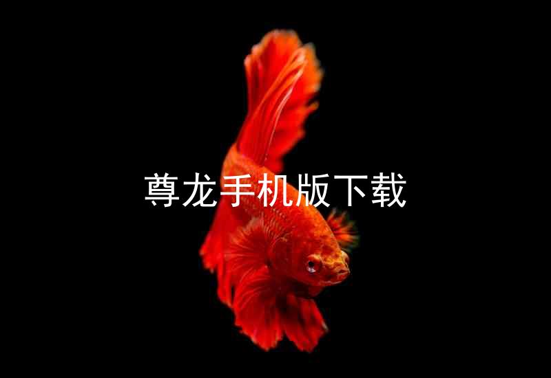 尊龙手机版下载
