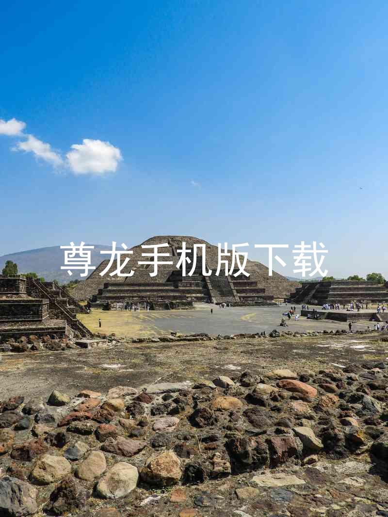 尊龙手机版下载