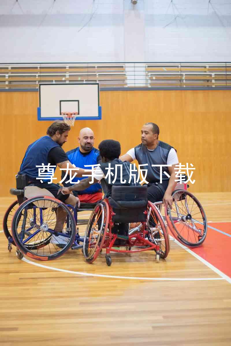 尊龙手机版下载