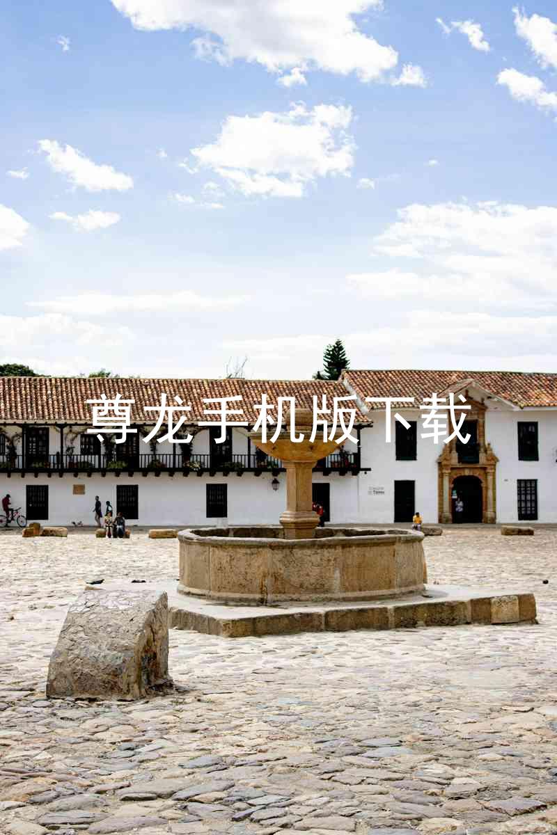尊龙手机版下载