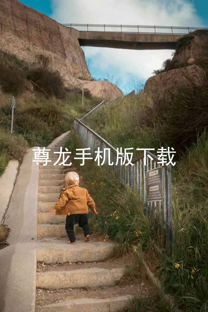 尊龙手机版下载